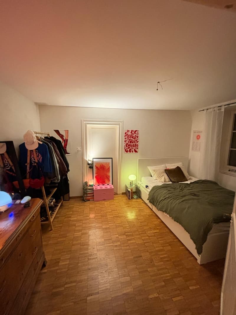 Central WG room in Lucerne in a large apartment! (2)