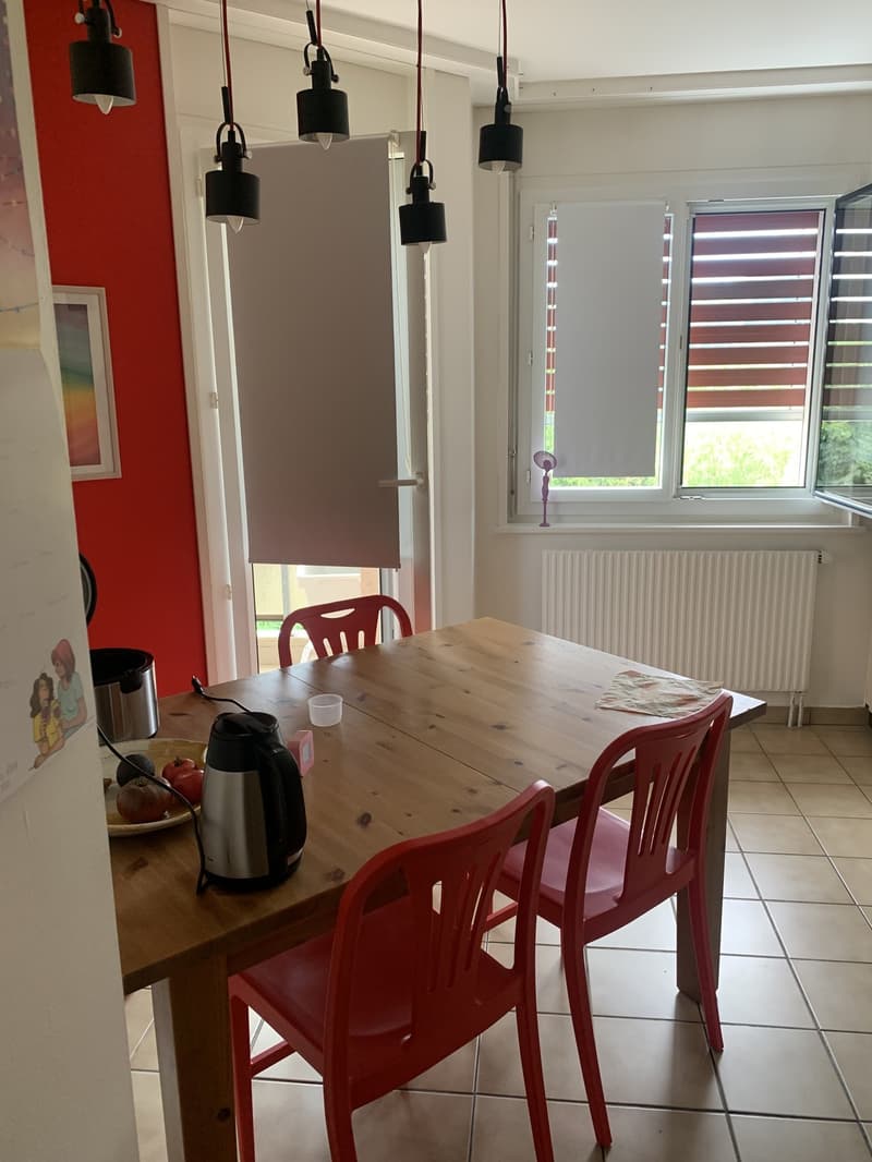 Geräumige 3.5-Zimmer-Wohnung (7)