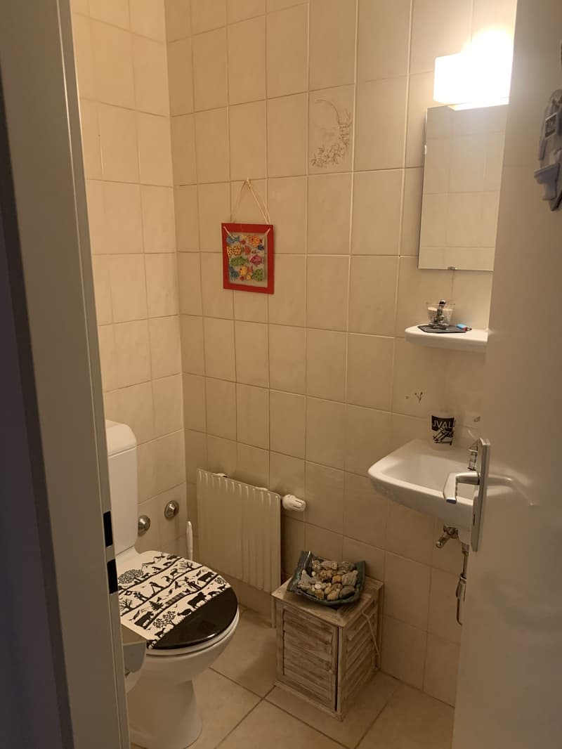 Geräumige 3.5-Zimmer-Wohnung (6)