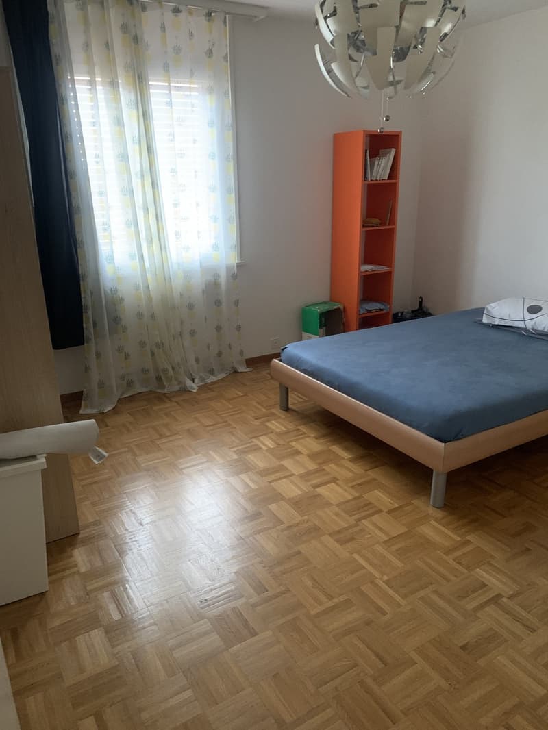 Geräumige 3.5-Zimmer-Wohnung (4)