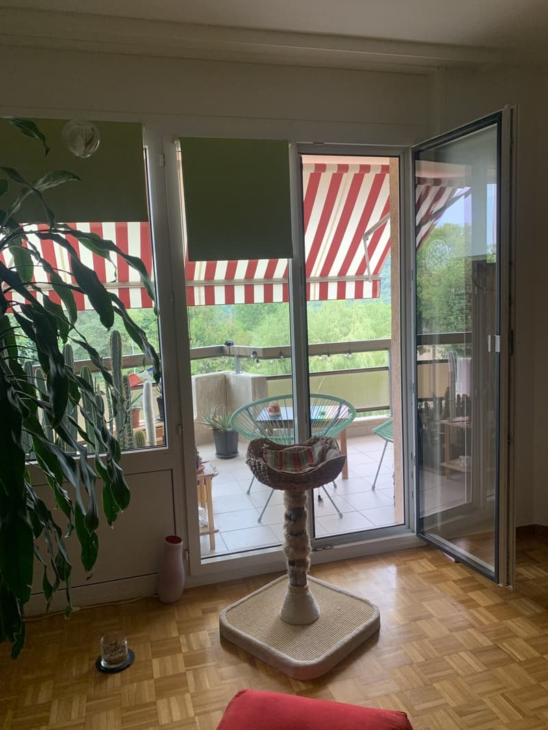 Geräumige 3.5-Zimmer-Wohnung (2)