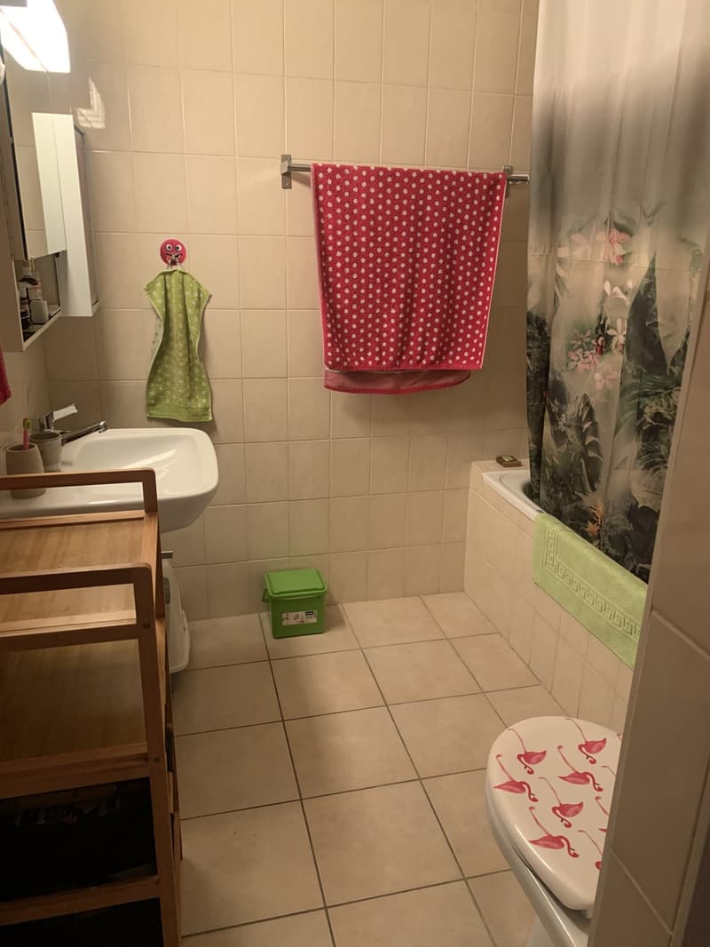 Geräumige 3.5-Zimmer-Wohnung (8)