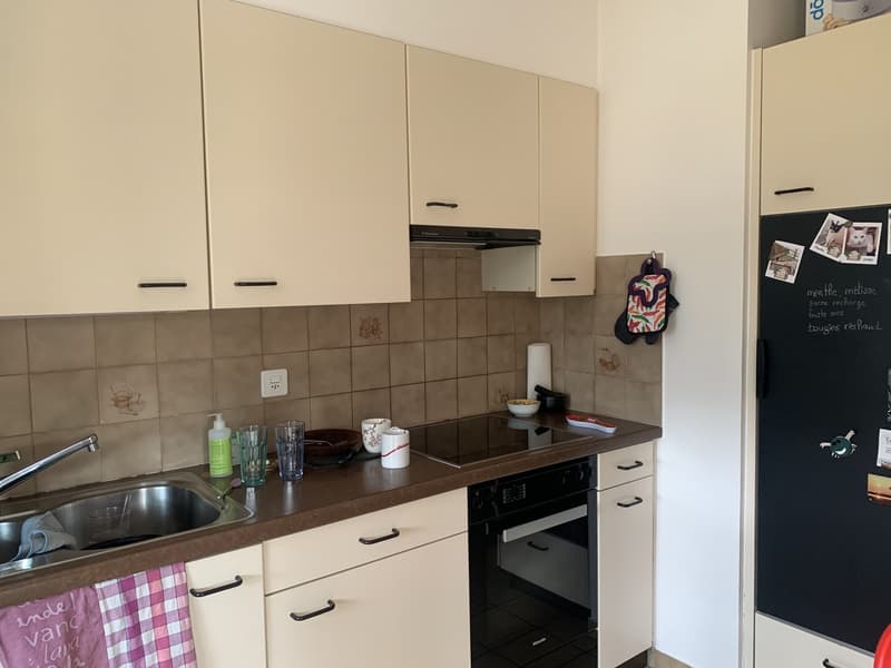 Geräumige 3.5-Zimmer-Wohnung (5)