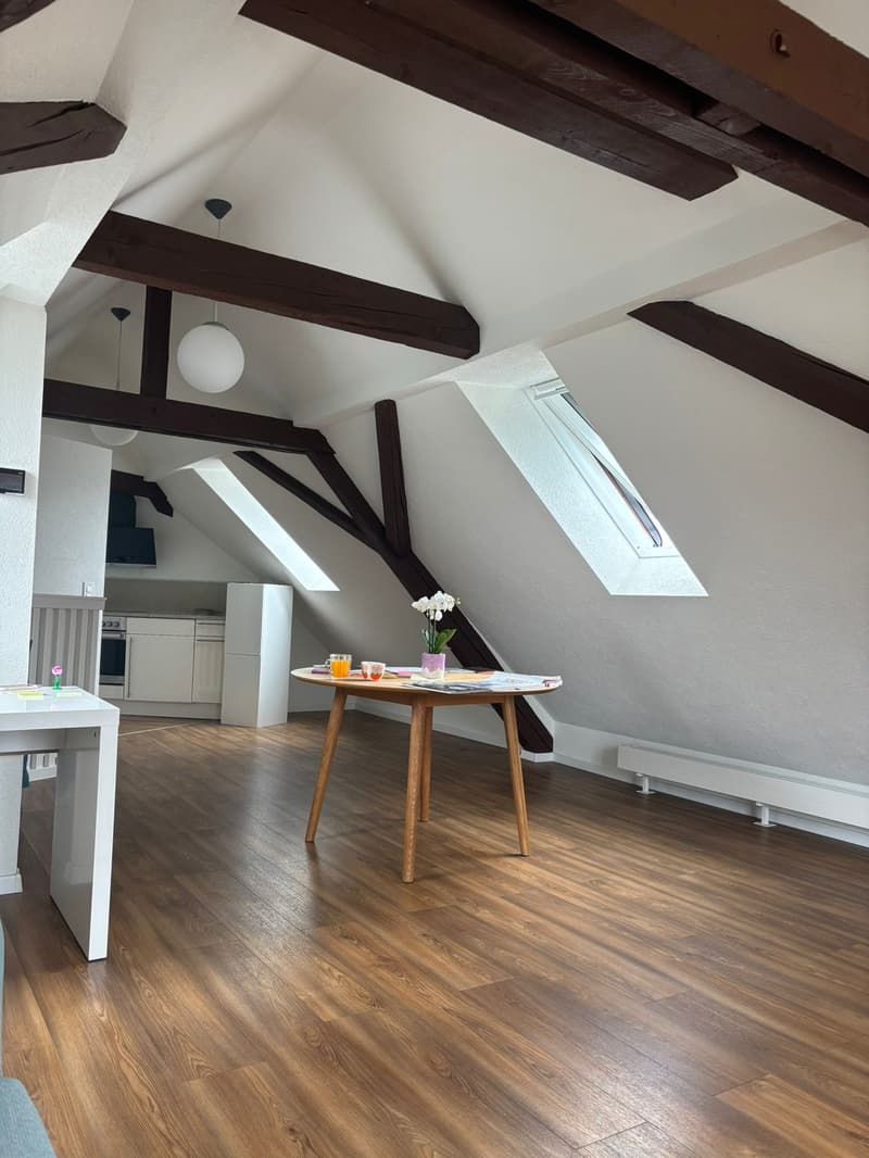Bright and charming furnished 2.5-room attic apartment with beautiful views towards the Uetliberg, available for a one month sublet, from 6 August to 6 September. (1)