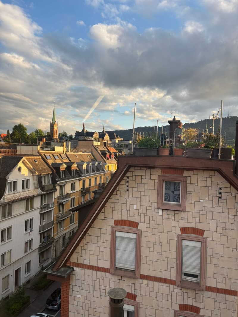 Bright and charming furnished 2.5-room attic apartment with beautiful views towards the Uetliberg, available for a one month sublet, from 6 August to 6 September. (2)