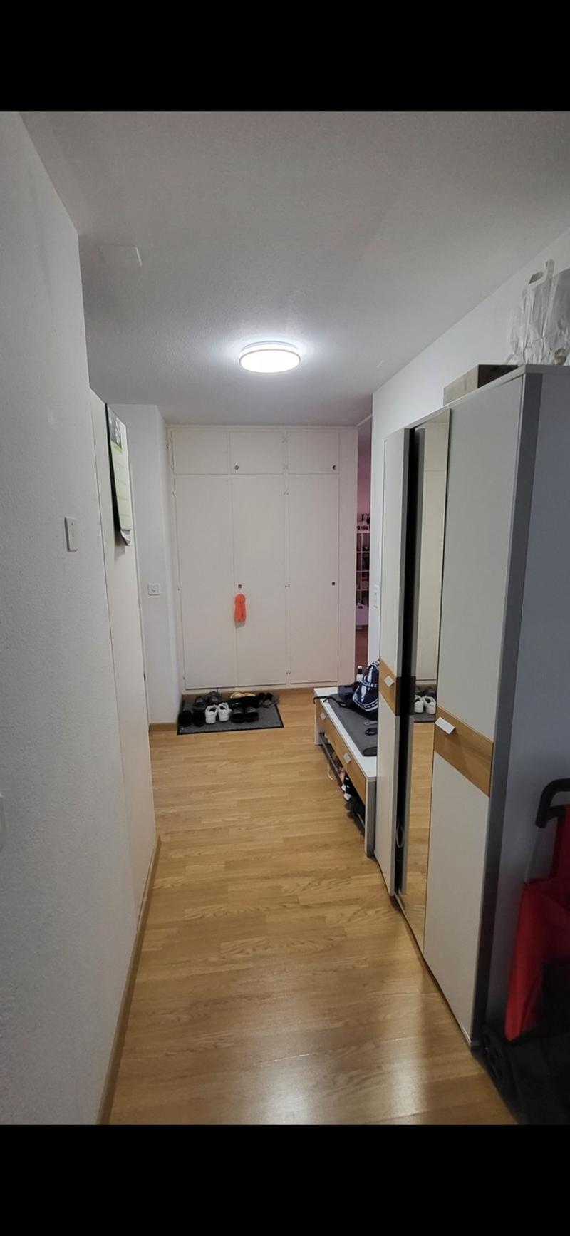 Appartamento 3,5 locali (7)