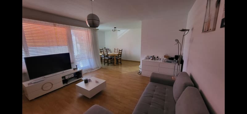 Appartamento 3,5 locali (2)