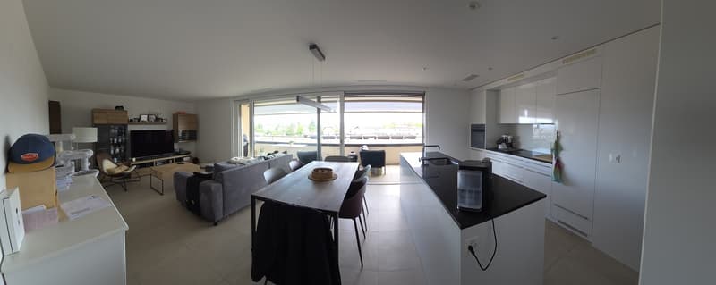Bello appartamento di 3.5 locali con ampio balcone (1)