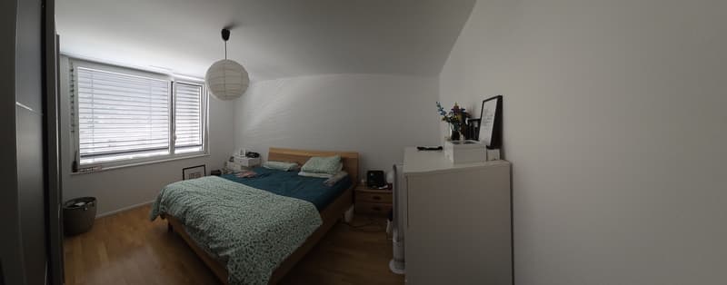 Bello appartamento di 3.5 locali con ampio balcone (7)