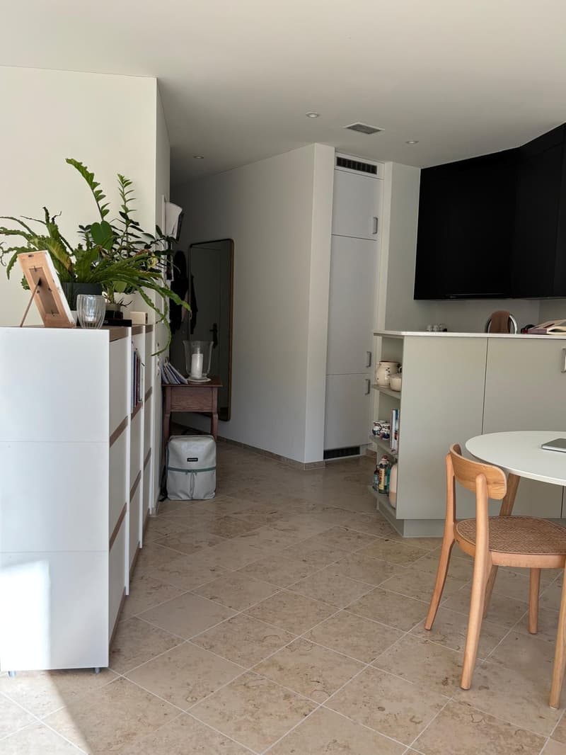 Appartamento 1.5 locali in affitto vicino a Bucheggplatz da settembre 2026 (3)