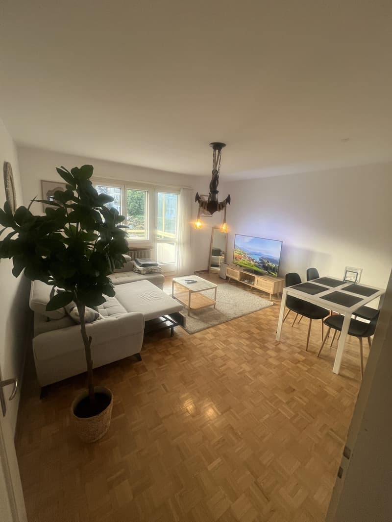 Möbliertes Zimmer, 1 Monat, Thalwil (1)