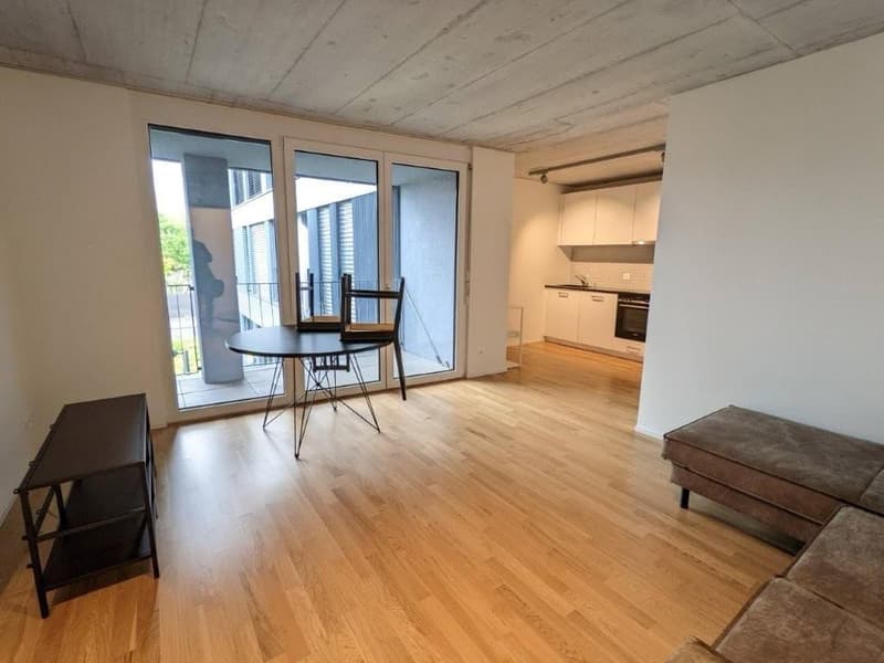 Appartement 2 pièces à louer - Recherche de sous-locataire (1)