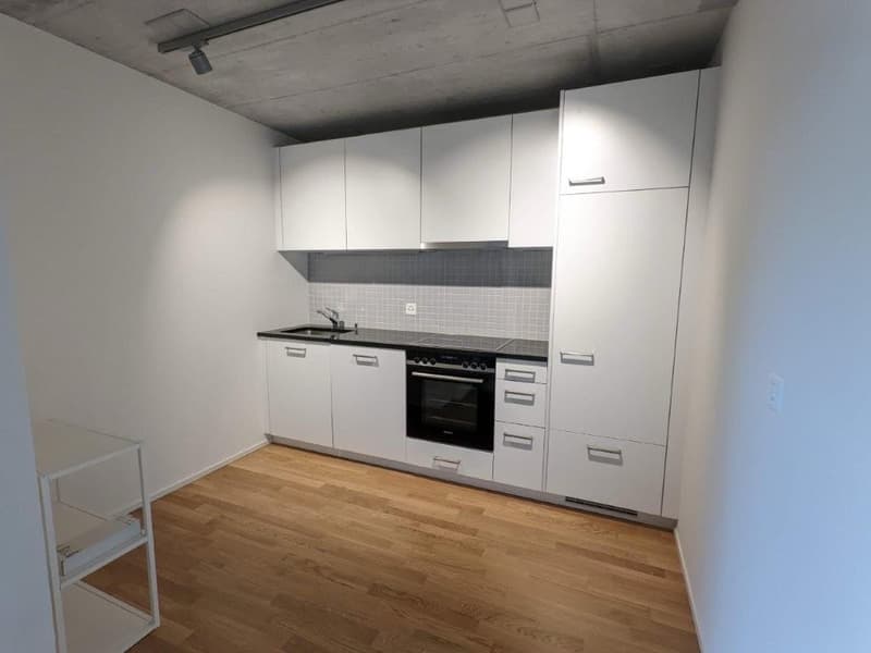 Appartement 2 pièces à louer - Recherche de sous-locataire (4)