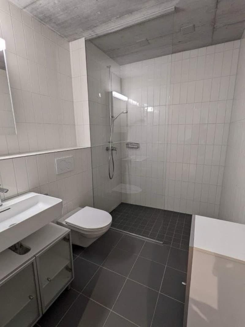 Appartement 2 pièces à louer - Recherche de sous-locataire (5)