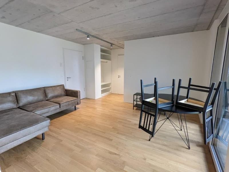 Appartement 2 pièces à louer - Recherche de sous-locataire (2)