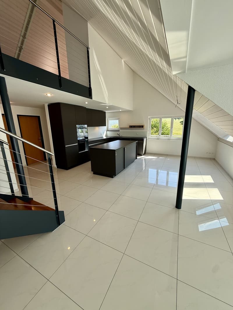 Maisonnette exclusive de 4,5 pièces dans un standard de propriétaire avec grande terrasse sur le toit, salle de loisirs chauffée et garage individuel (1)