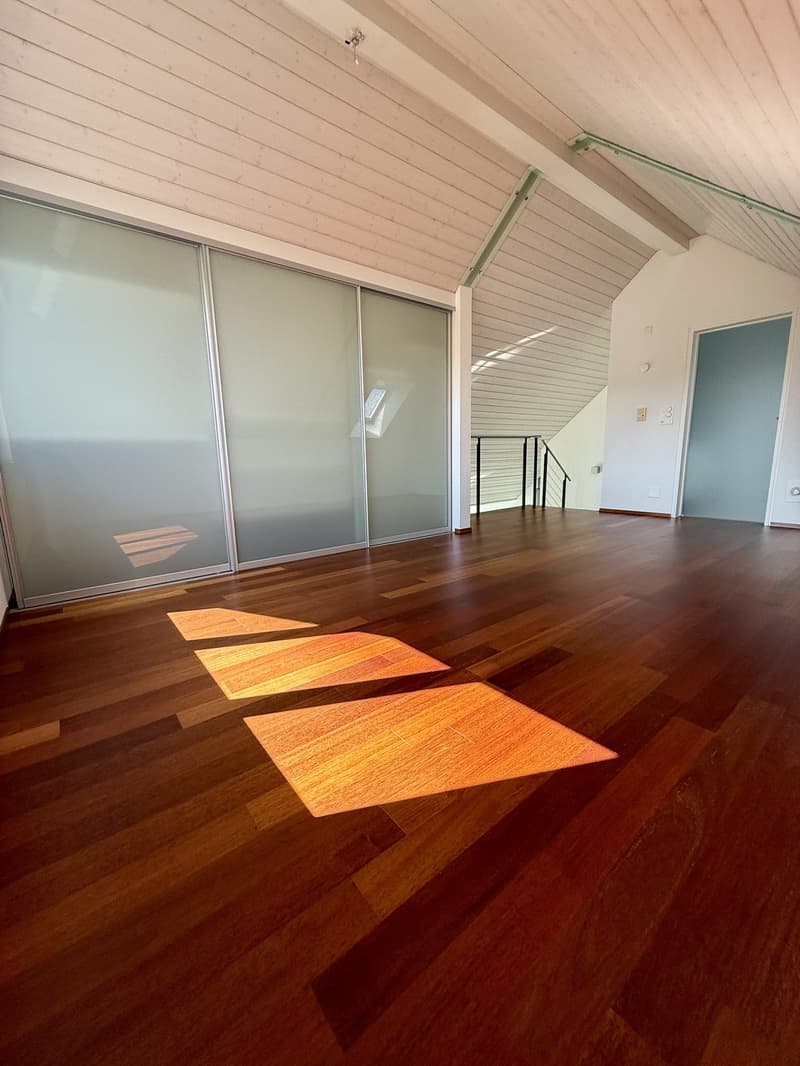 Maisonnette exclusive de 4,5 pièces dans un standard de propriétaire avec grande terrasse sur le toit, salle de loisirs chauffée et garage individuel (3)
