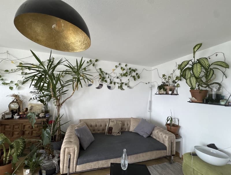 Nachmieter gesucht helle und geräumige 4.5-Zimmer-Wohnung ab Mitte September (4)