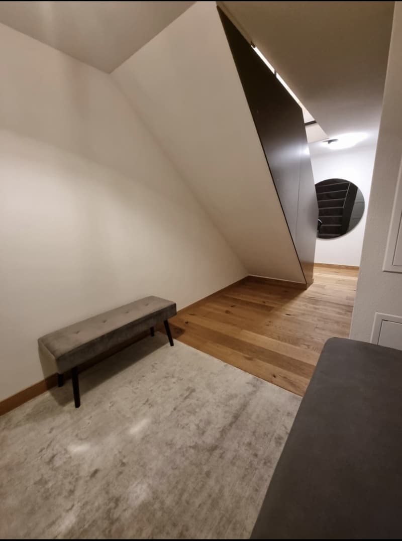 Modern loft apartment in kreis 4 (6)