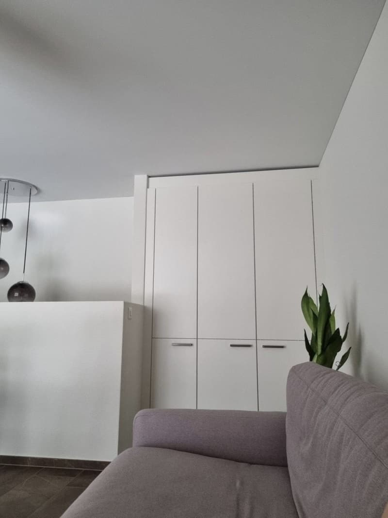 Modern loft apartment in kreis 4 (3)