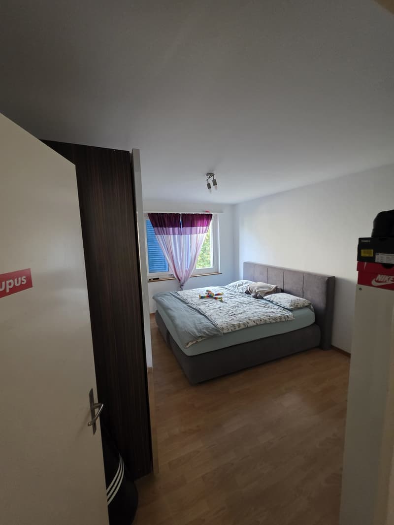 Familienfreundliche 5.5-Zimmer-Wohnung mit Balkon und Spielplatz (4)