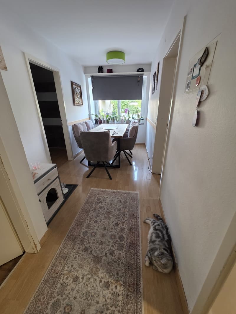 Familienfreundliche 5.5-Zimmer-Wohnung mit Balkon und Spielplatz (7)