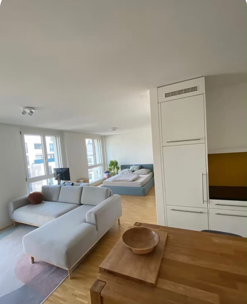 Studio Apartment in Altstetten (Temporary up to 5 months) (1)