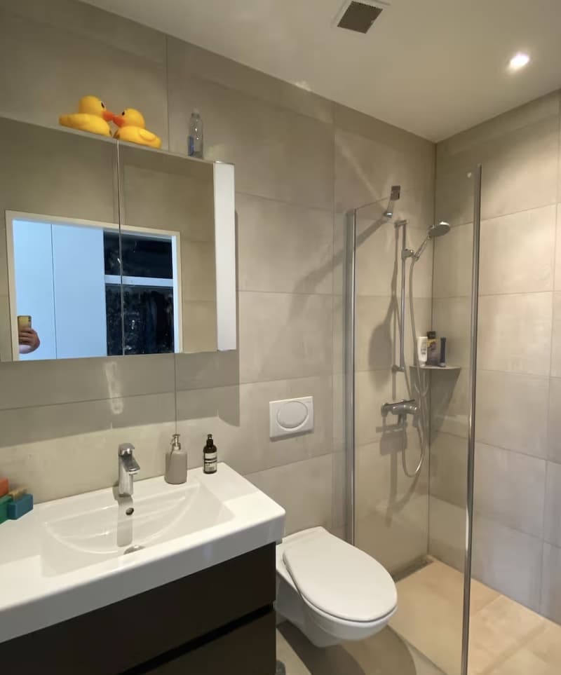 Studio Apartment in Altstetten (Temporary up to 5 months) (5)