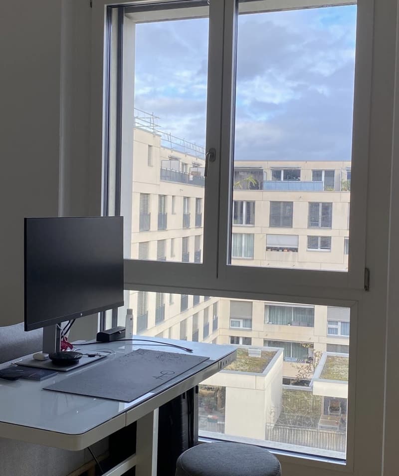 Studio Apartment in Altstetten (Temporary up to 5 months) (10)