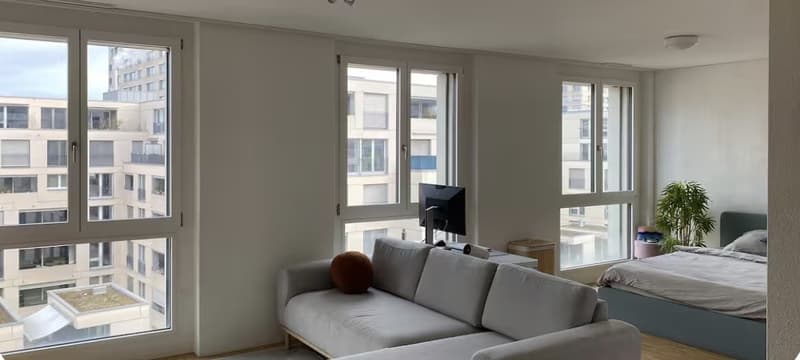 Studio Apartment in Altstetten (Temporary up to 5 months) (3)