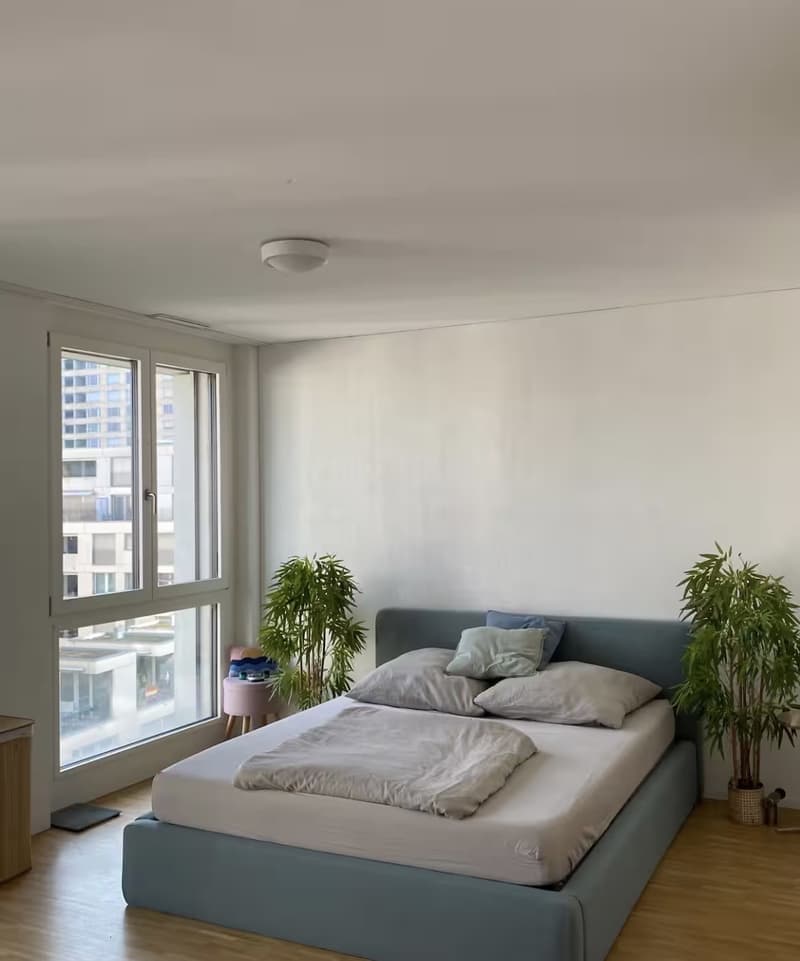 Studio Apartment in Altstetten (Temporary up to 5 months) (4)