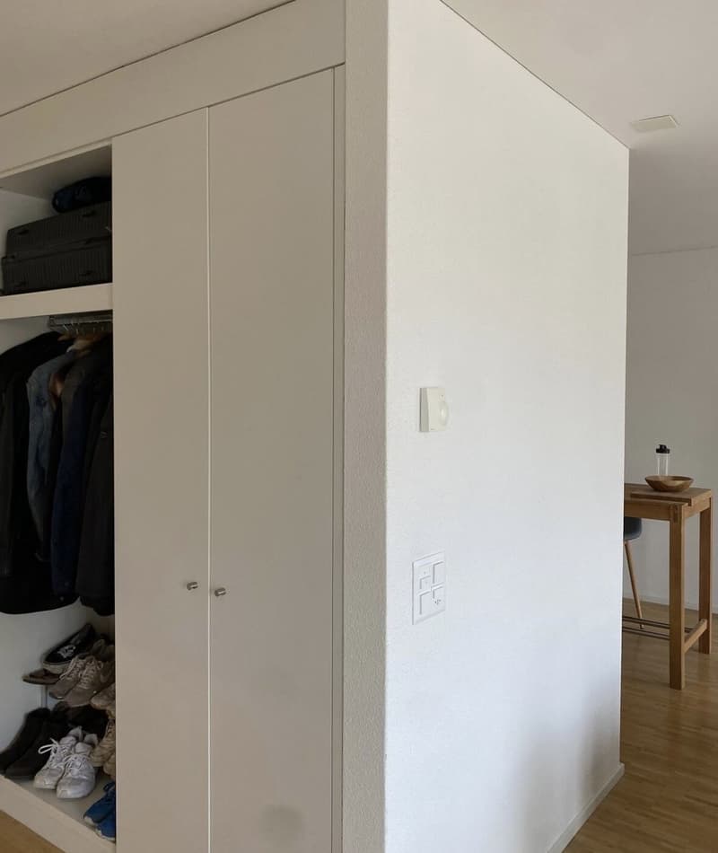 Studio Apartment in Altstetten (Temporary up to 5 months) (8)