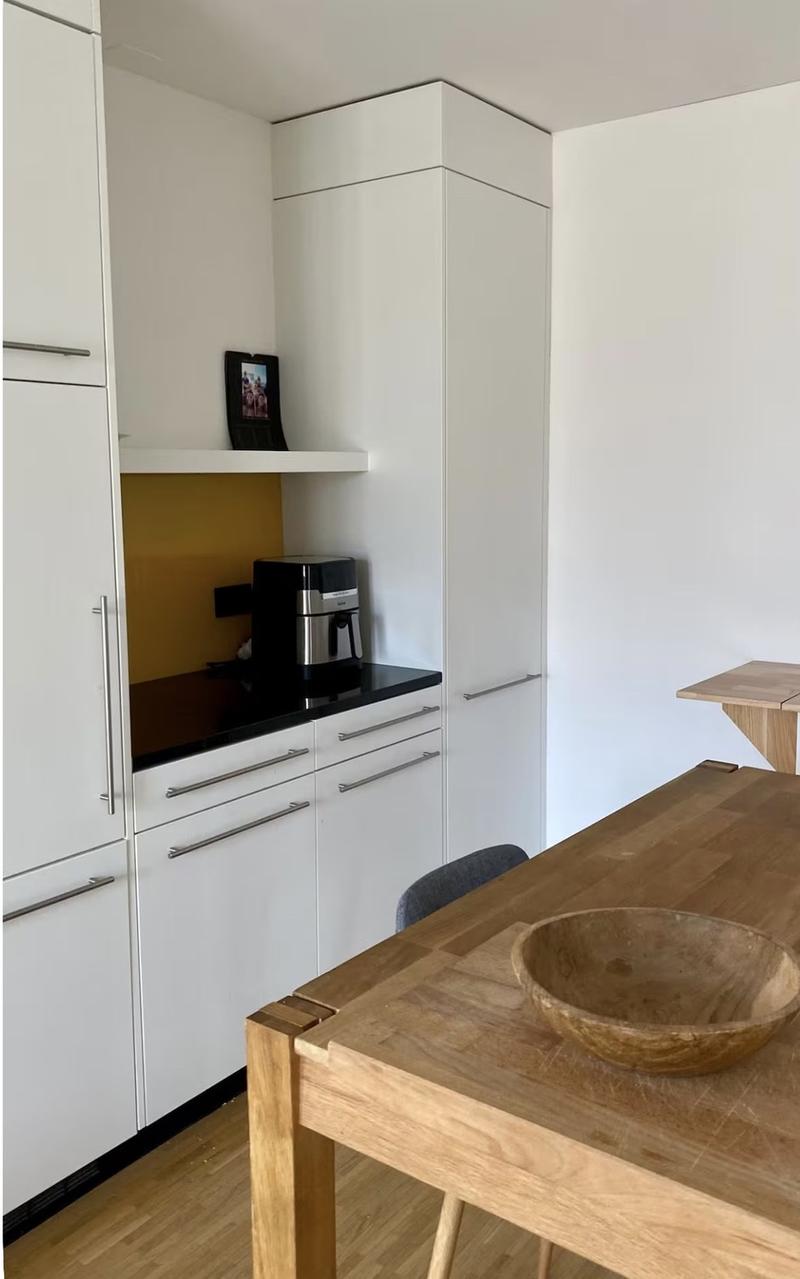 Studio Apartment in Altstetten (Temporary up to 5 months) (7)