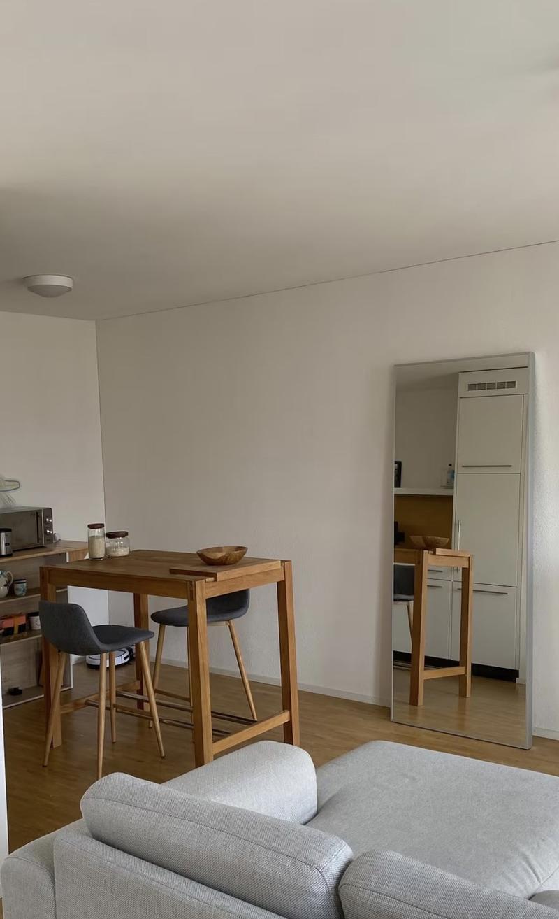 Studio Apartment in Altstetten (Temporary up to 5 months) (6)