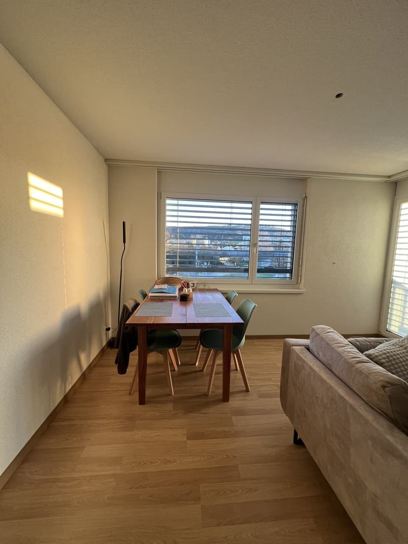 Modern 2.5-room attic apartment with two terraces - lift and washing machine (1)