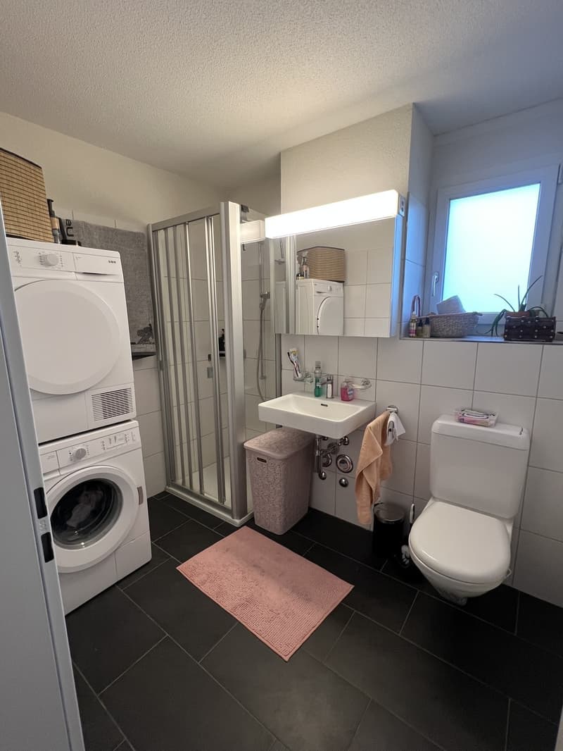 Modern 2.5-room attic apartment with two terraces - lift and washing machine (5)