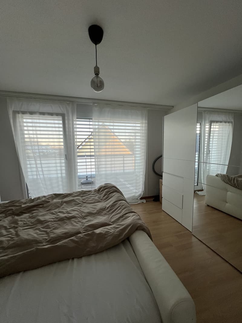 Modern 2.5-room attic apartment with two terraces - lift and washing machine (4)