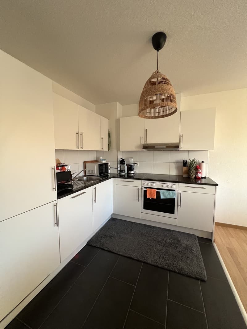 Modern 2.5-room attic apartment with two terraces - lift and washing machine (3)