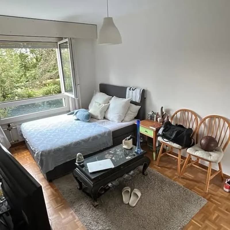 Cosy room in the UN & IHEID neighborhood (1)