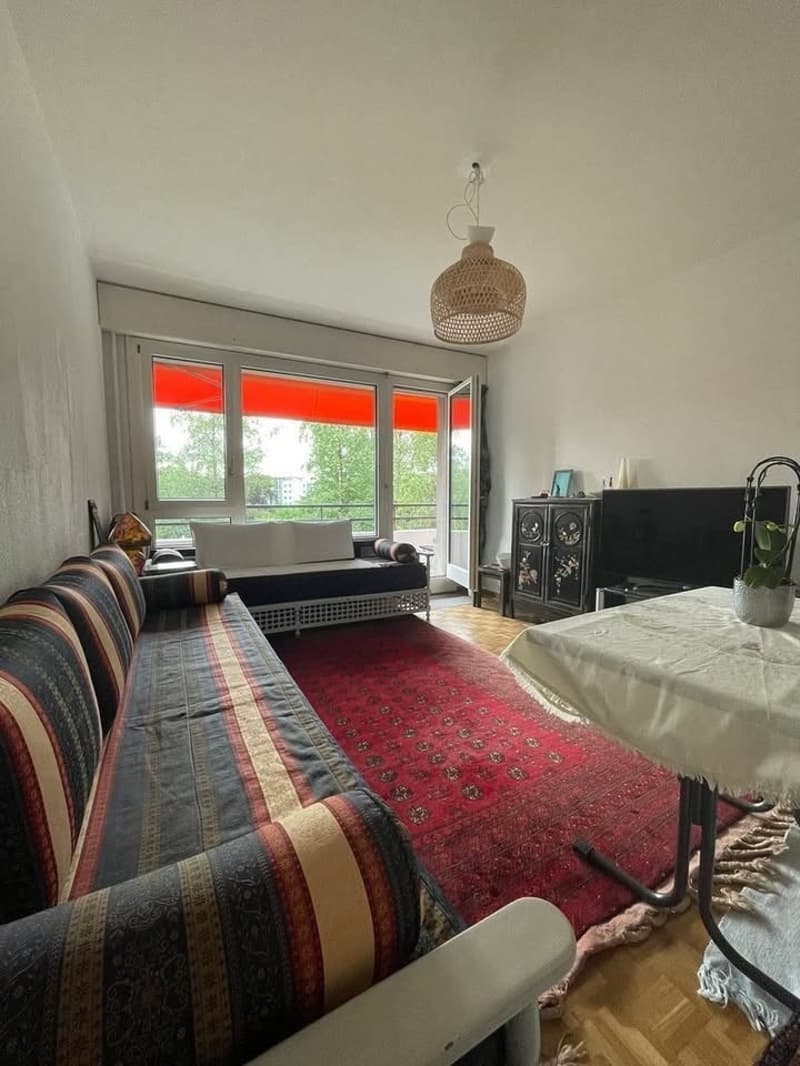 Cosy room in the UN & IHEID neighborhood (4)