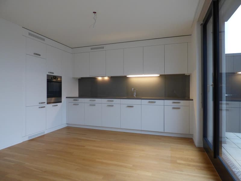 Beautiful Two Terrace Modern Top Floor in Wollishofen (4)