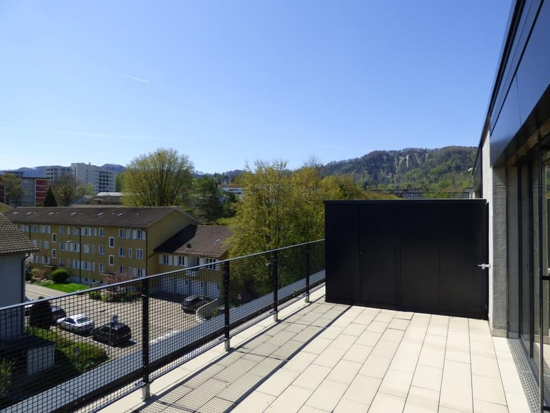 Beautiful Two Terrace Modern Top Floor in Wollishofen (2)