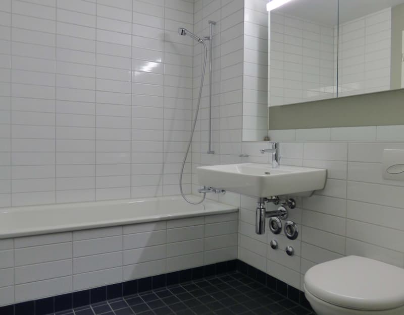 Beautiful Two Terrace Modern Top Floor in Wollishofen (5)