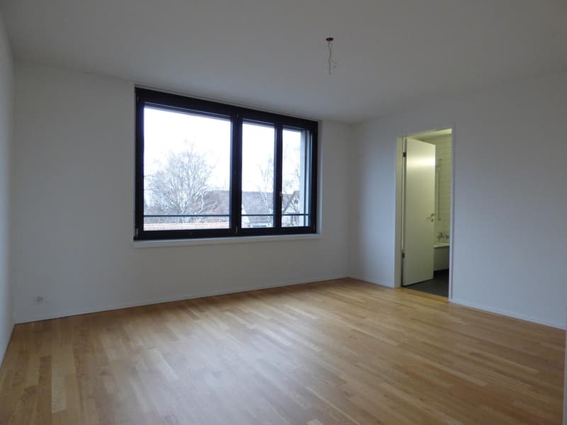 Beautiful Two Terrace Modern Top Floor in Wollishofen (1)
