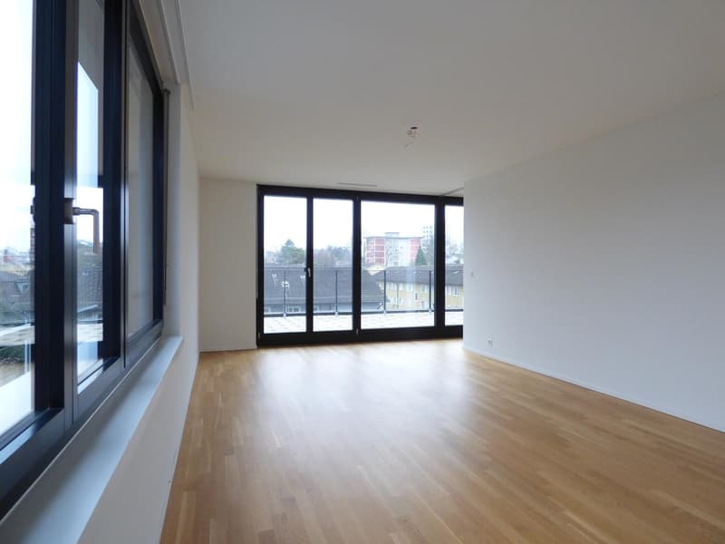 Beautiful Two Terrace Modern Top Floor in Wollishofen (3)
