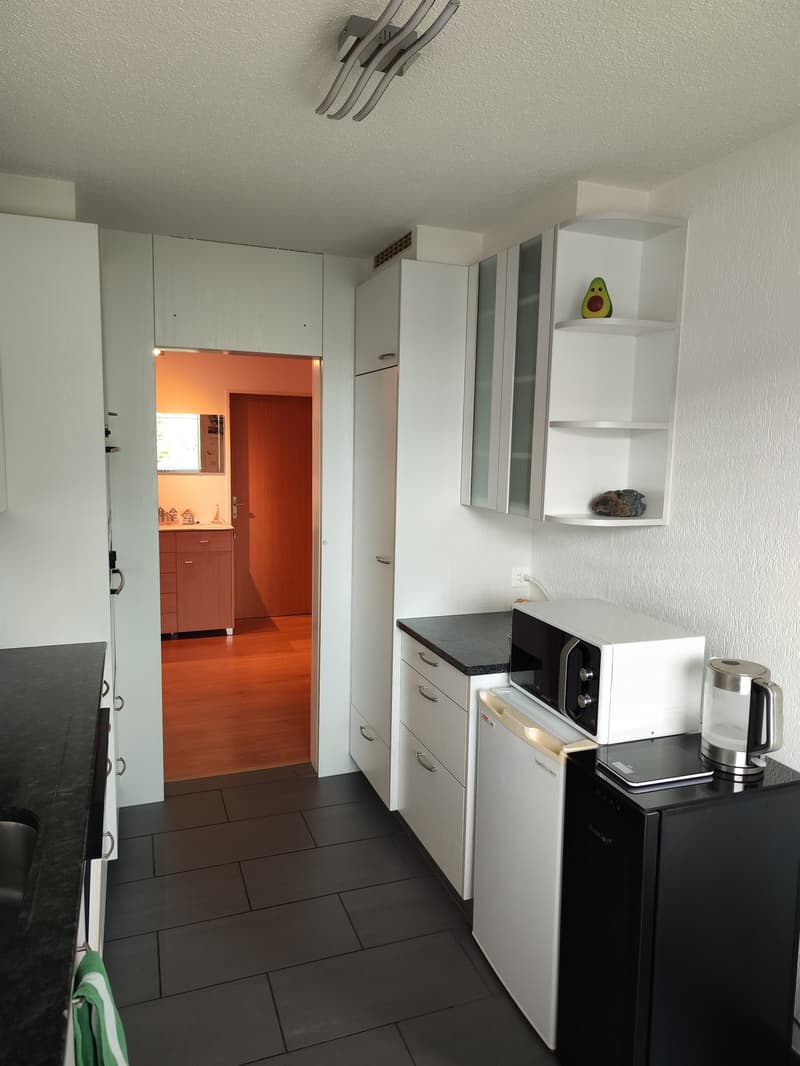 WG Wiesendangen (11)