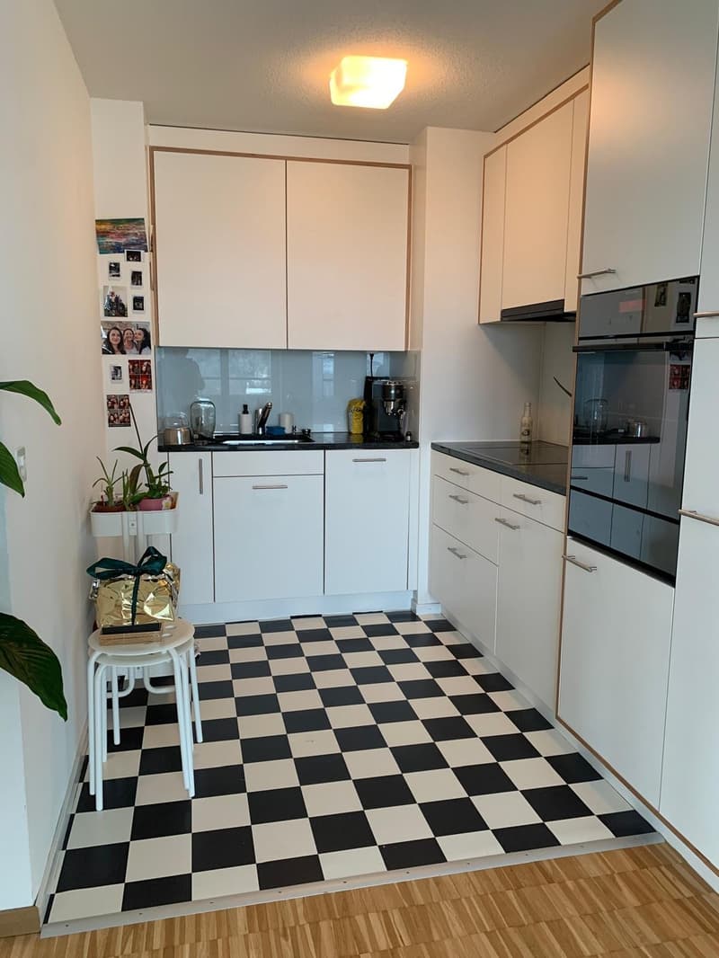 2.5 room apartment with open view (4)