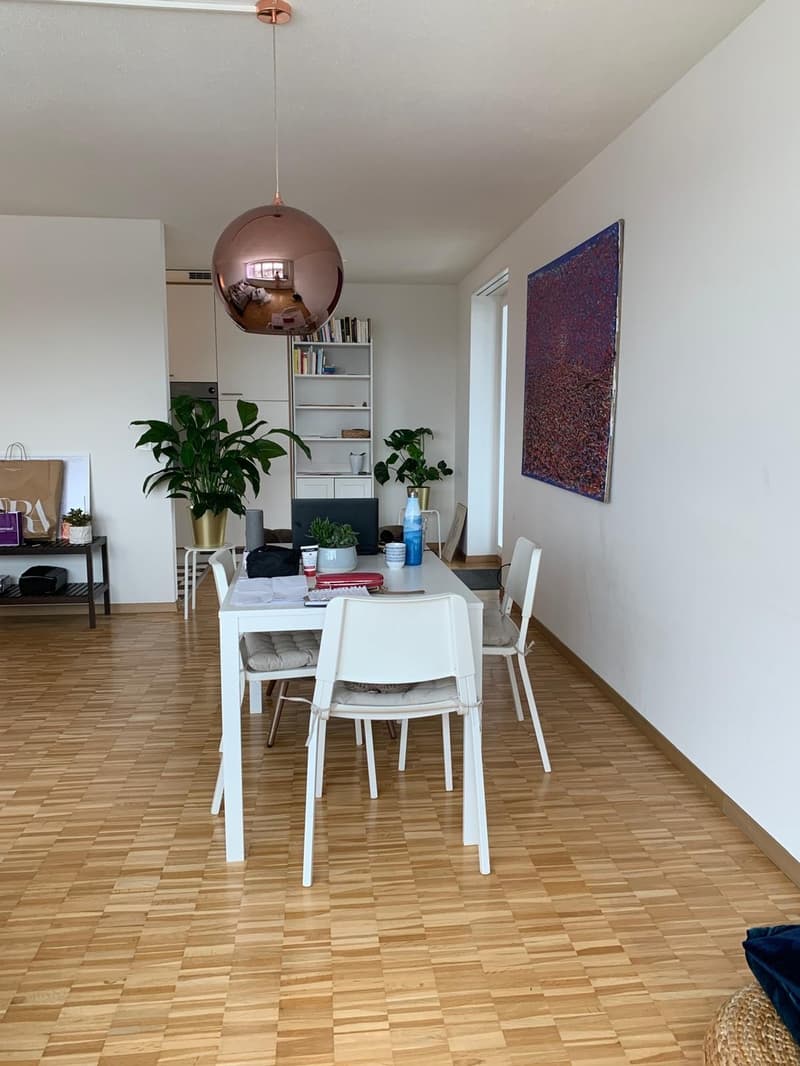 2.5 room apartment with open view (3)