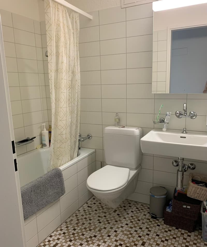 2.5 room apartment with open view (6)