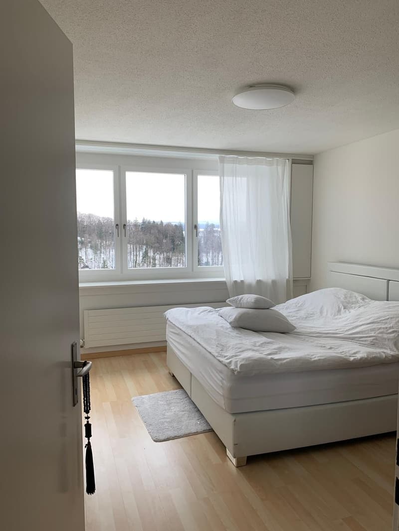2.5 room apartment with open view (5)